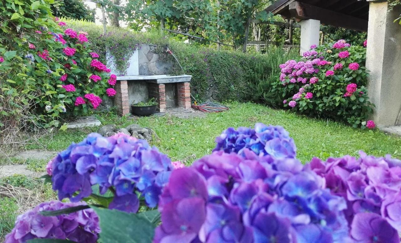 Villa La Costa Di Gavedo Extérieur photo